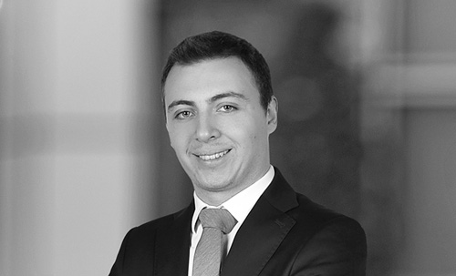 Barış Ege Güleç