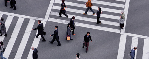 Employment, Compensation & Benefits
