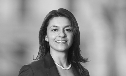 Sezin Elçin Cengiz